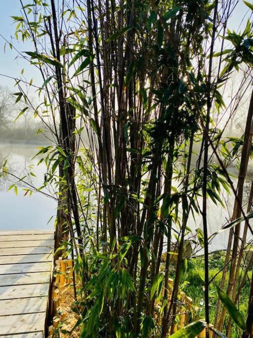 Cottage, Lodge & Spa Prouilly Ngoại thất bức ảnh